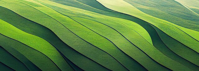 E-learning: Mini MBA in Sustainability Management (in English)